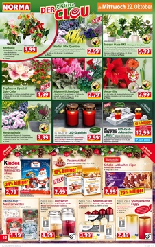 NORMA Prospekt - Angebote ab 20.10.