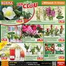 NORMA Prospekt Seite 12