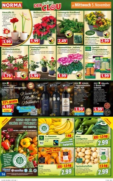 NORMA Prospekt - Angebote ab 03.11.