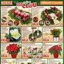 NORMA Prospekt - Blumen