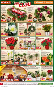 NORMA Prospekt - Angebote ab 10.11.
