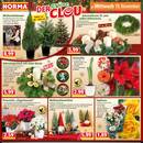 NORMA Prospekt - Blumen