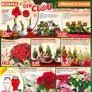 NORMA Prospekt Seite 14