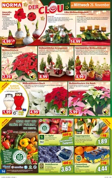 NORMA Prospekt - Angebote ab 24.11.