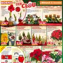 NORMA Prospekt Seite 14