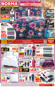 NORMA Prospekt - KW 50