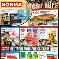 NORMA Prospekt Seite 2