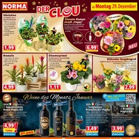 NORMA Prospekt - Wein