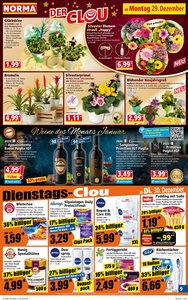 NORMA Prospekt - Angebote ab 29.12.