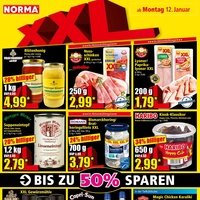 NORMA Prospekt Seite 8