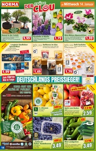 NORMA Prospekt - Angebote ab 12.01.