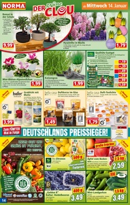NORMA Prospekt - Angebote ab 12.01.