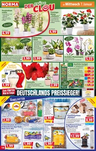 NORMA Prospekt - Angebote ab 05.01.