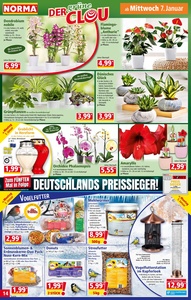 NORMA Prospekt - Angebote ab 05.01.