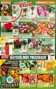 NORMA Prospekt - Angebote ab 19.01.