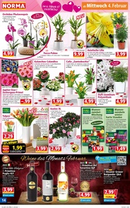 NORMA Prospekt - Angebote ab 02.02.