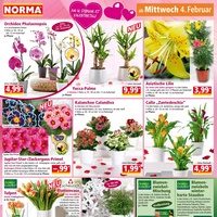 NORMA Prospekt Seite 14