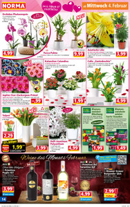 NORMA Prospekt - Angebote ab 02.02.