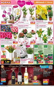 NORMA Prospekt - Angebote ab 02.02.
