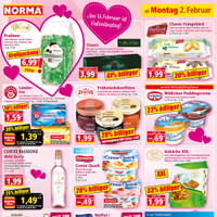 NORMA Prospekt Seite 12