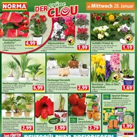 NORMA Prospekt Seite 14