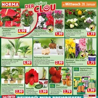 NORMA Prospekt Seite 14