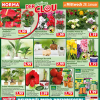 NORMA Prospekt Seite 14