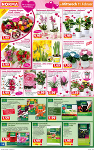 NORMA Prospekt - Angebote ab 09.02.