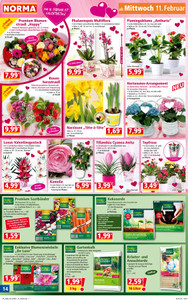 NORMA Prospekt - Angebote ab 09.02.