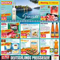 NORMA Prospekt Seite 8