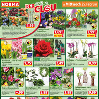 NORMA Prospekt Seite 16