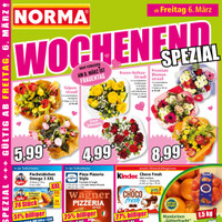 NORMA Prospekt Seite 2