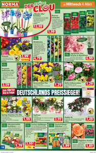 NORMA Prospekt - Angebote ab 02.03.
