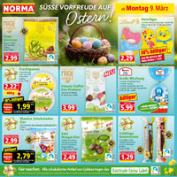 NORMA Prospekt Seite 11