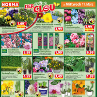 NORMA Prospekt Seite 13