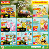 NORMA Prospekt Seite 8