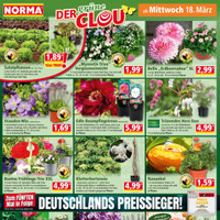 NORMA Prospekt Seite 16