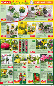 NORMA Prospekt - Angebote ab 23.03.