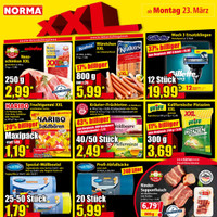 NORMA Prospekt Seite 11