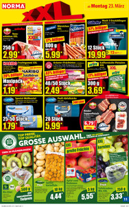 NORMA Prospekt - Angebote ab 23.03.