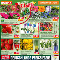 NORMA Prospekt Seite 16