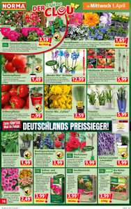 NORMA Prospekt - Angebote ab 30.03.