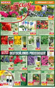 NORMA Prospekt - Angebote ab 30.03.