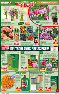 NORMA Prospekt - Angebote ab 06.04.