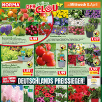 NORMA Prospekt Seite 16