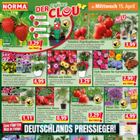 NORMA Prospekt Seite 16