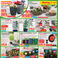 NORMA Prospekt Seite 2