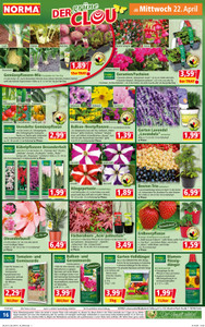 NORMA Prospekt - Angebote ab 20.04.