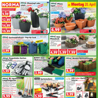 NORMA Prospekt Seite 2