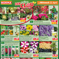 NORMA Prospekt Seite 16